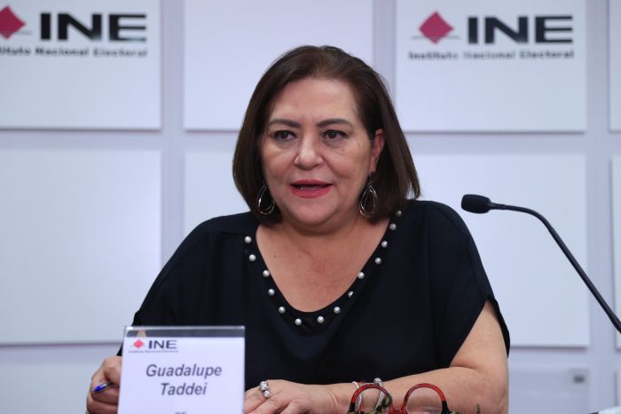 Guadalupe Taddei: cuál será el sueldo que recibirá la consejera presidenta del INE tras reducirlo