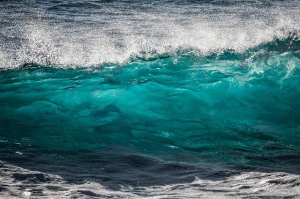 ¿Por qué está cambiando el color de los océanos? Científicos lo explican