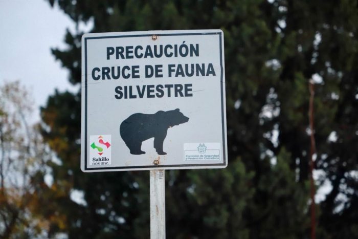 Coloca Policía Ambiental de Saltillo señalamientos para preservar osos