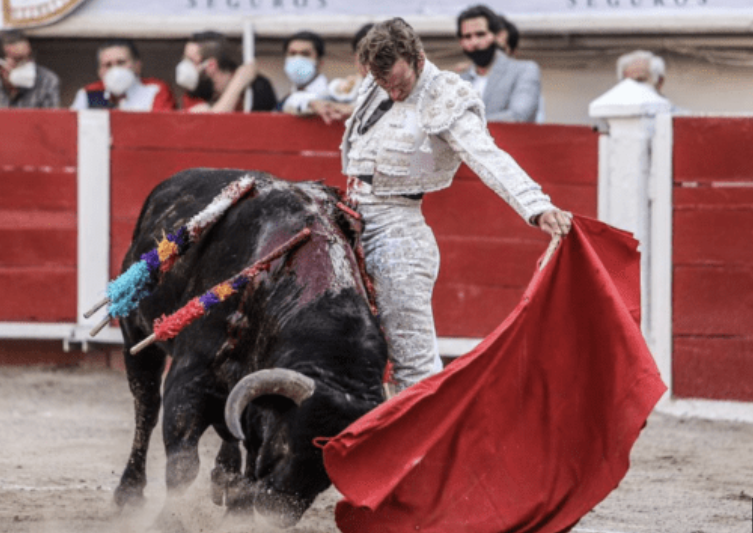 Victoria para los taurinos: Jueza niega suspensión definitiva a las corridas de toros en CDMX