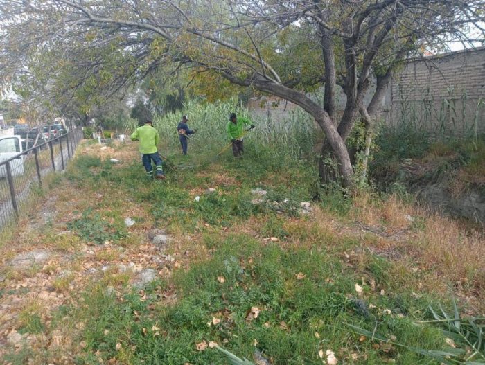 Retira Gobierno de Saltillo 399 toneladas de desechos en arroyos