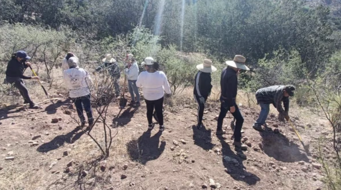 Madres buscadoras de Sonora reportan hallazgo de ocho fosas clandestinas en La Comaya