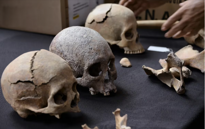Los secretos bajo el AIFA: INAH halla 112 esqueletos, incluidos los de mujeres guerreras con trágico final