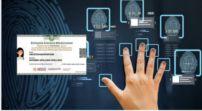 CURP Biométrica: así es el nuevo fraude que afecta a adultos mayores con Pensión del Bienestar