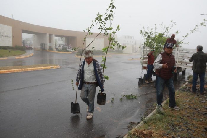 Refuerza Saltillo acciones de reforestación en la ciudad
