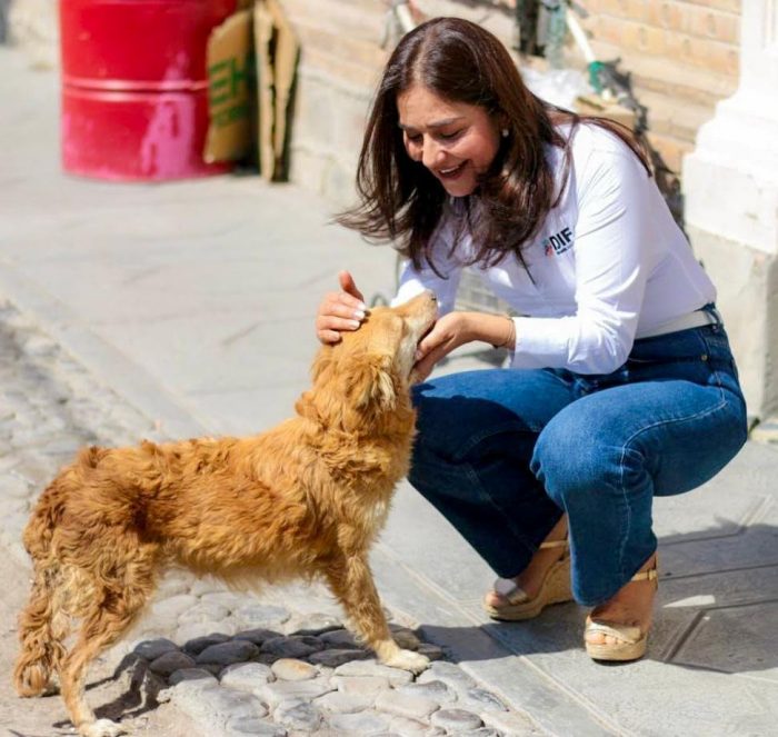 *Ramos Arizpe, ejemplo en el cuidado y protección animal*