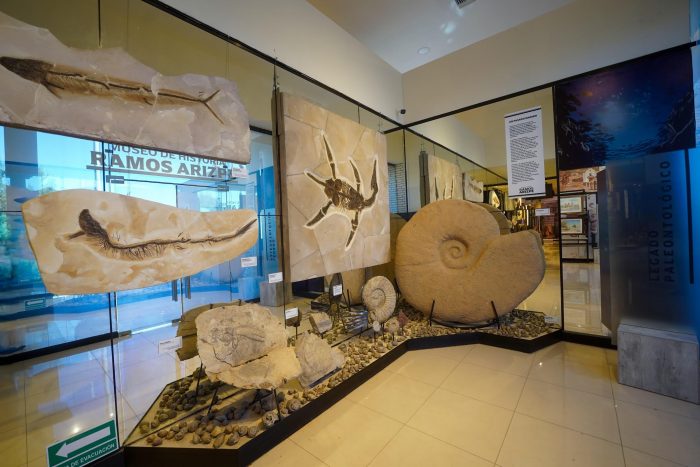 *Recibe Museo de Historia de Ramos Arizpe récord de visitantes en julio*