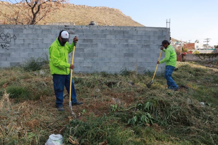 Realiza ‘Aquí Andamos’ limpieza profunda en arroyo de Valle de las Flores Popular