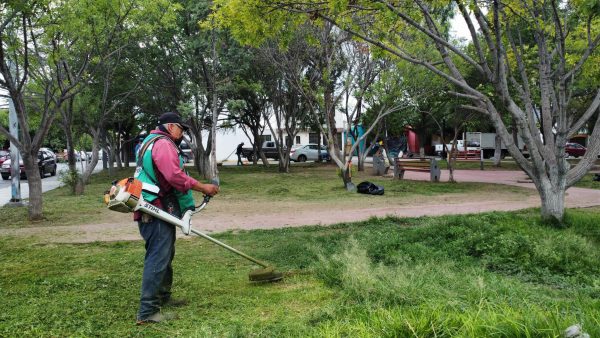 *Ramos Arizpe refuerza el embellecimiento urbano*