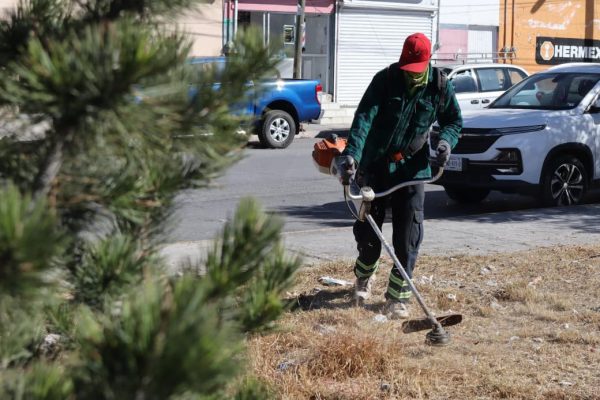 Refuerza alcalde Javier Díaz acciones de limpieza y deshierbe al sur de Saltillo