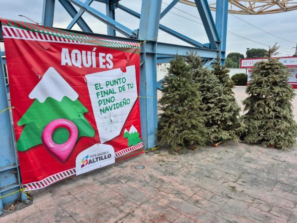 Lleve su pino navideño natural a alguno de los centros de acopio