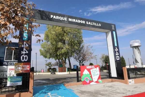 Dispone Municipio centros de acopio para pinos naturales de Navidad