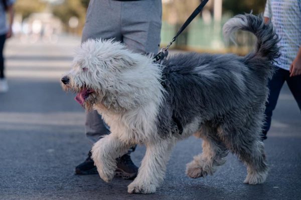 Descenderá temperatura este fin de semana; tome precauciones