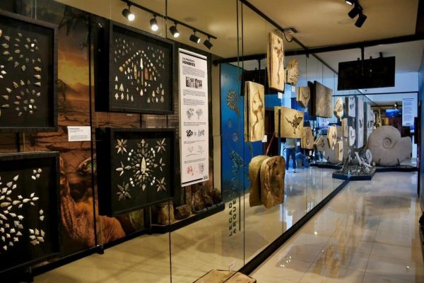 *Ramos Arizpe tiene su encanto: museo de historia muestra identidad local*