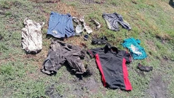 Hallan 20 cuerpos en fosas clandestinas en Cortazar; al menos 14 ya fueron identificados