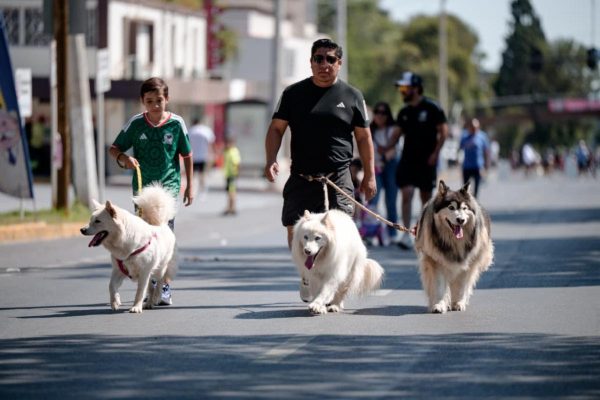 La Ruta Recreativa fortalece la convivencia de las familias saltillenses