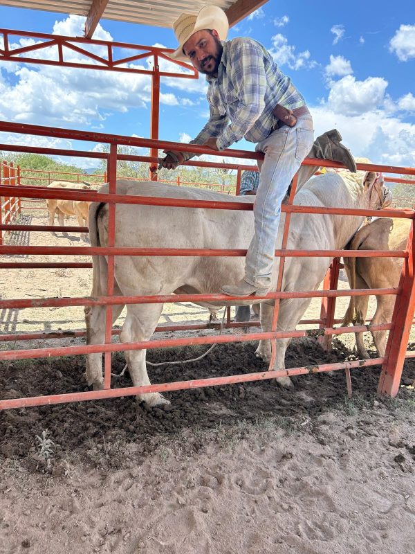 Fortalecen Municipio y Estado acciones preventivas de sanidad animal