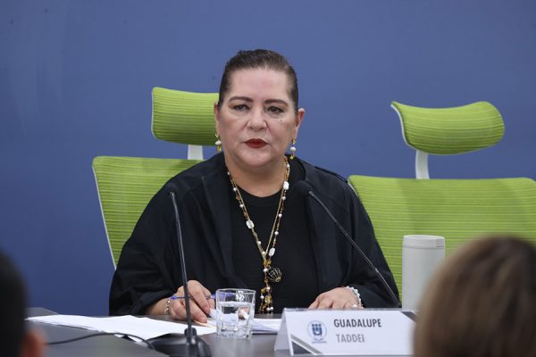 INE de Guadalupe Taddei da de baja a 836 trabajadores de oficinas centrales rumbo a 2027