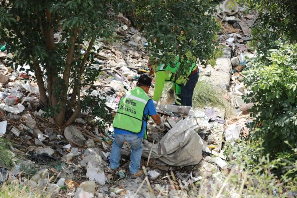 Intensifica Javier Díaz limpieza y deshierbe del arroyo Pereyra