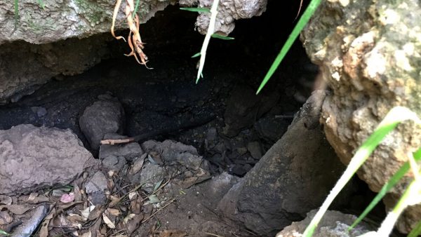DOMINGO DE LEYENDA: La Cueva del Diablo de Iztapalapa: el anciano que regala tesoros y otros secretos que guarda