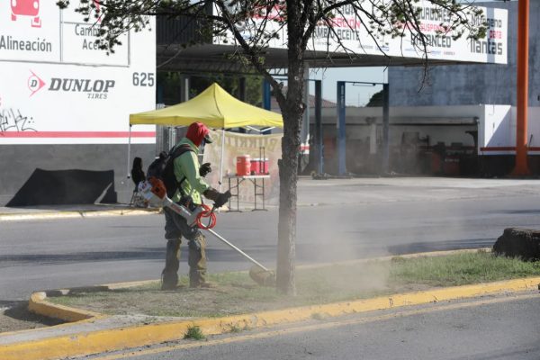 Mantiene Gobierno de Saltillo acciones de mejora urbana