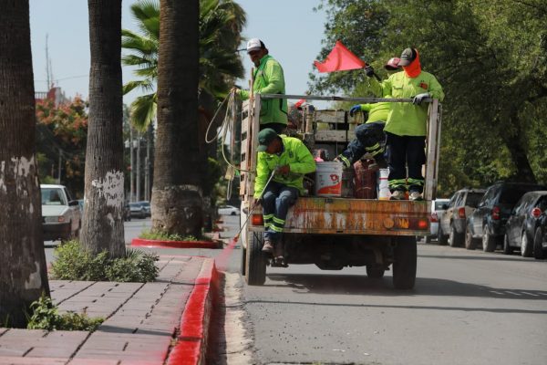 Mejora Javier Díaz plazas y refuerza seguridad vial en el Centro Histórico