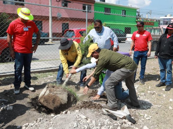 Fortalece Javier Díaz acciones de reforestación en Colinas del Sur