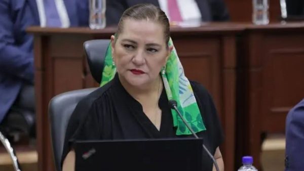 Oposición en el Senado exige la renuncia de Guadalupe Taddei si no explica su relación con contratistas