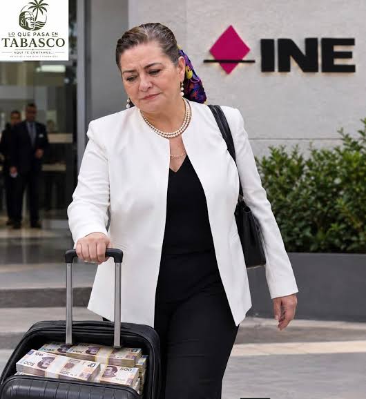 Guadalupe Taddei se refugia en Arizona tras su renuncia al INE