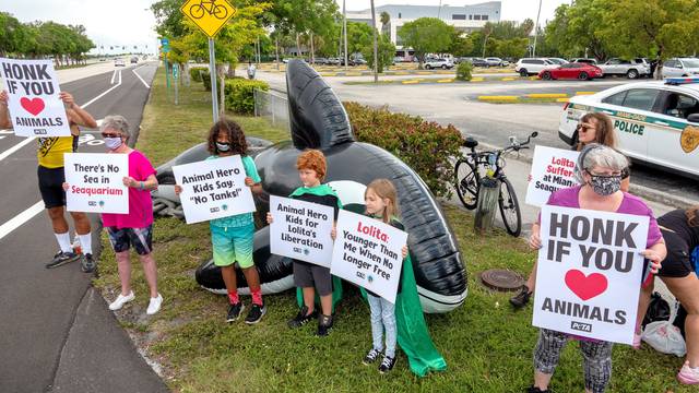 Niños activistas piden a acuario liberar a orca