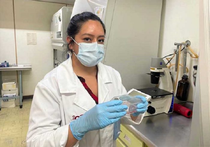 Así funciona el biofármaco del IPN con eficacia del 90% para tratar COVID
