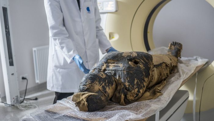 El feto de la Dama Misteriosa, la única momia egipcia embarazada conocida, resiste 2.000 años “encurtido como un pepinillo”