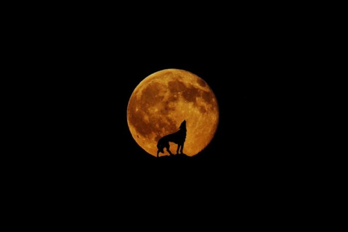 La Luna de Lobo: qué es y cuándo verla desde México