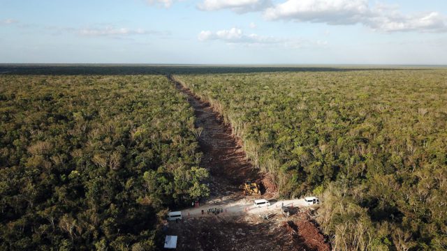 Llegamos a un acuerdo con el gobierno acerca del Tren Maya: Grupo México