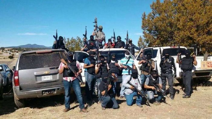 La recomposición del narco en México: más de 500 grupos armados operan en el país, según estudio