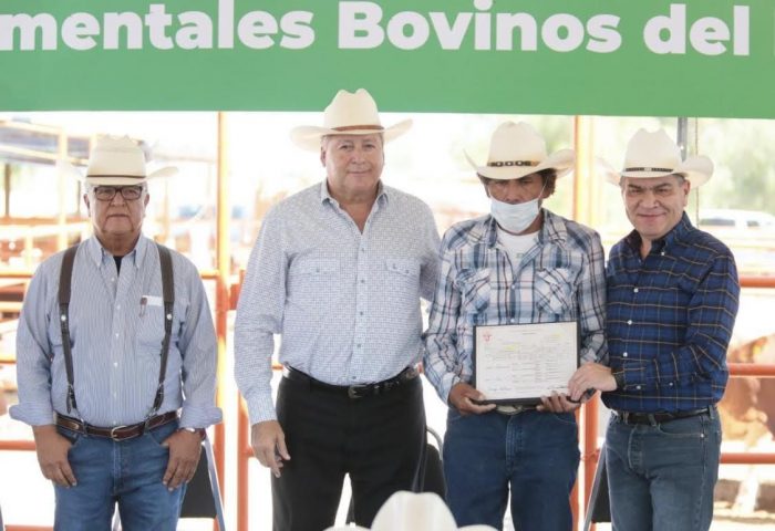 ENTREGA MARS SEMENTALES BOVINOS A GANADEROS DE COAHUILA