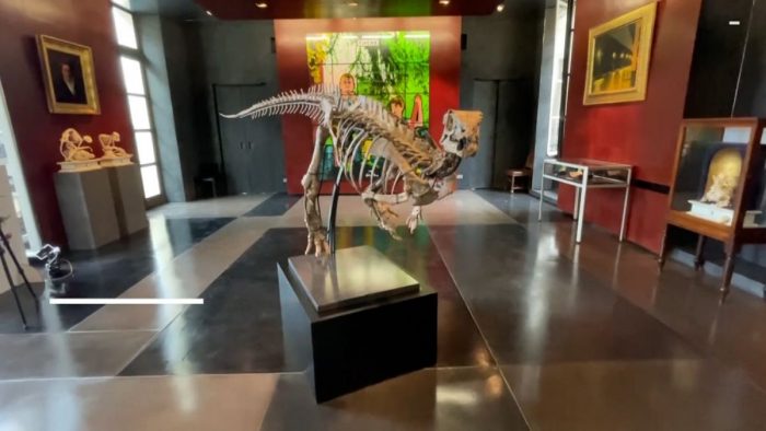 Subastarán en París un dinosaurio de 150 millones de años que fue encontrado en los sedimentos de un río