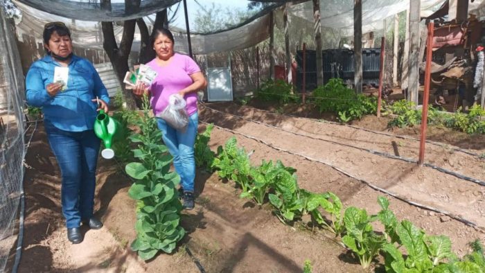 Arranca programa de Huertos Familiares en zona rural