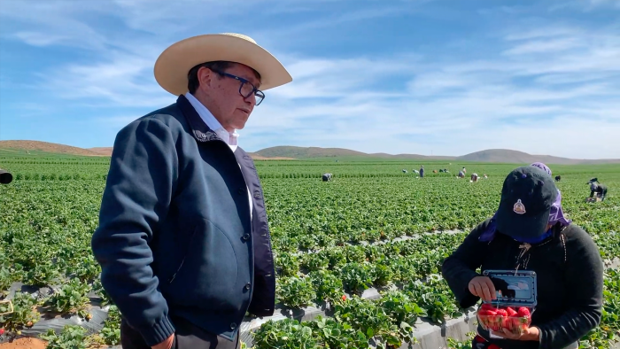 Ricardo Monreal urgió garantizar la seguridad pública, jurídica y social para el campo mexicano