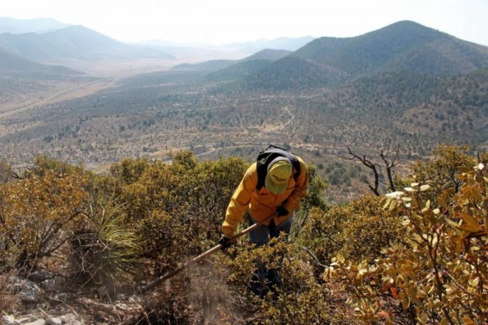 Exhorta Gobierno de Saltillo a evitar incendios forestales