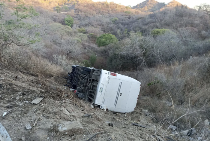 Autobús que trasladaba a equipo infantil de futbol cayó a barranco en Jalisco; reportan una persona muerta
