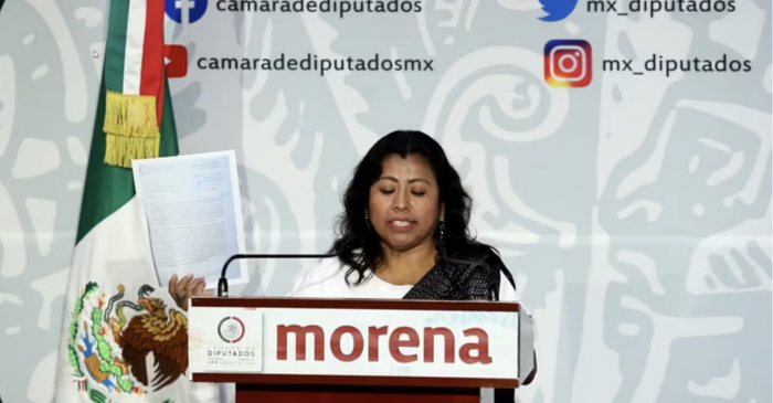Diputada de Morena denuncia a Secretaría del Bienestar por corrupción y daños al erario