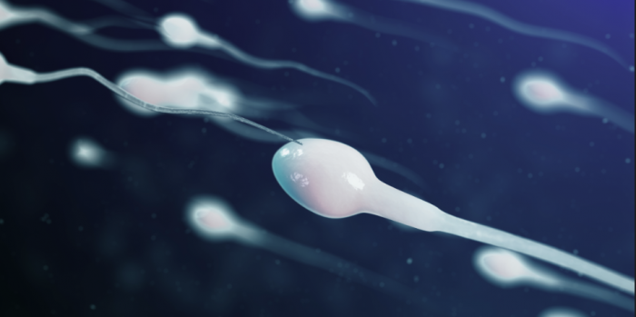 Un donante de esperma de Estados Unidos y la odisea por encontrar a sus 96 hijos biológicos