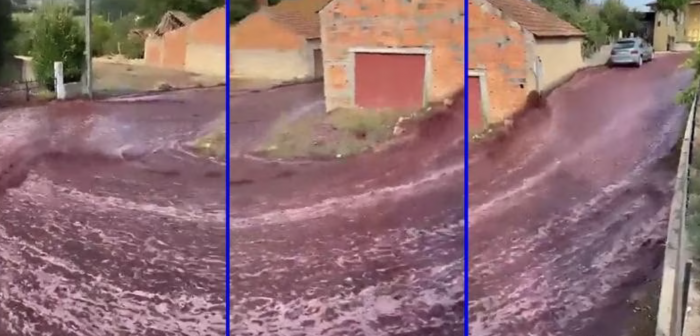 ‘Para más plasher’: Torrente de vino ‘inunda’ pueblo en Portugal
