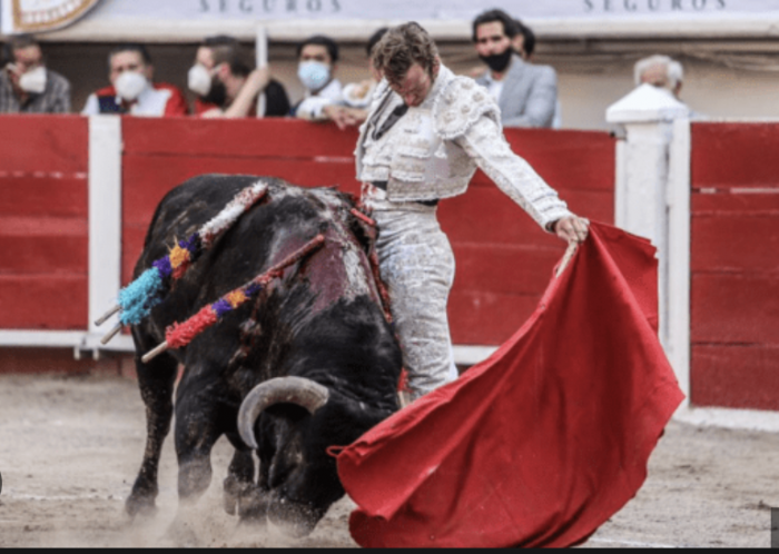 Corridas de toros regresan a CDMX: Suprema Corte elimina suspensión y niega frenarlas