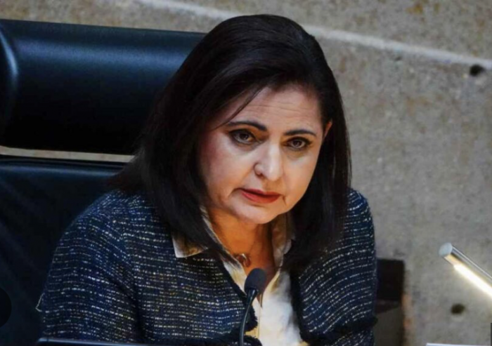 Tribunal Electoral: Mónica Soto es designada como magistrada presidenta