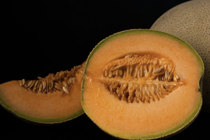 Cierran temporalmente procesadora de Sonora vinculada con melones contaminados con salmonella