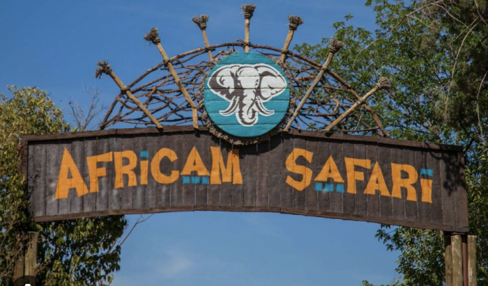 La trágica historia del capitán Camacho, fundador de Africam Safari que murió por la imprudencia de una familia