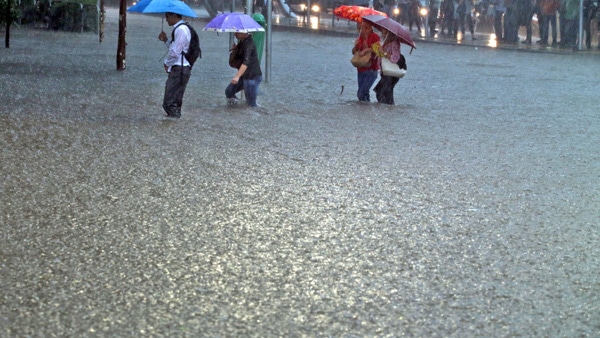 México entra en alerta por lluvias torrenciales: 16 estados esperan aguaceros del 13 al 20 de junio
