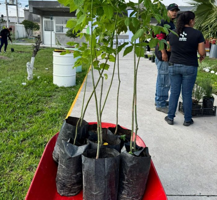 Supera Saltillo meta de reforestación en la ciudad